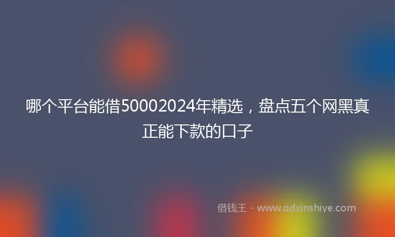 哪个平台能借50002024年精选，盘点五个网黑真正能下款的口子