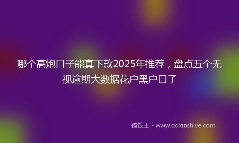 哪个高炮口子能真下款2025年推荐，盘点五个无视逾期大数据花户黑户口子
