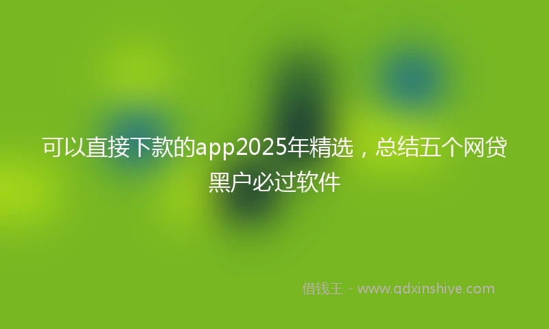 可以直接下款的app2025年精选，总结五个网贷黑户必过软件