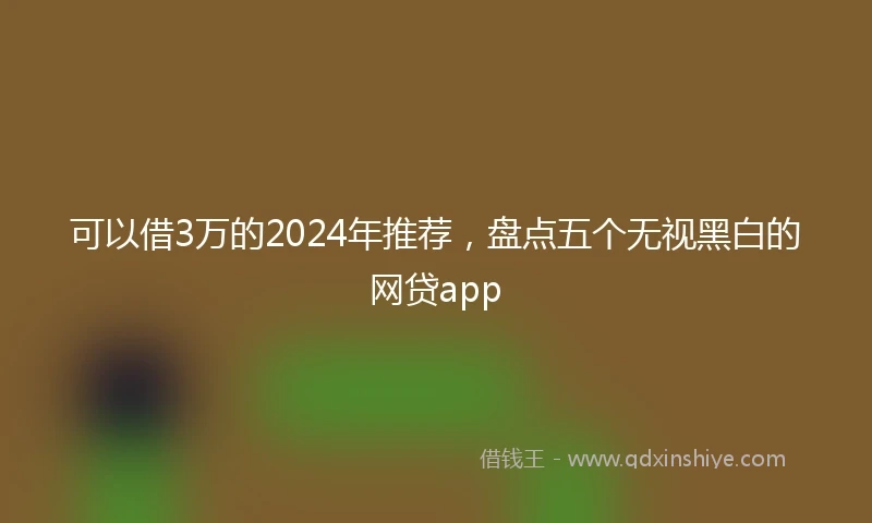 可以借3万的2024年推荐，盘点五个无视黑白的网贷app