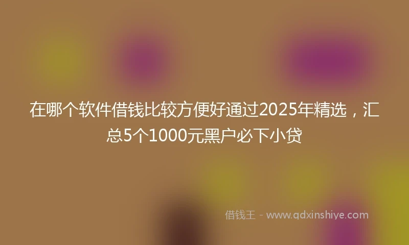在哪个软件借钱比较方便好通过2025年精选，汇总5个1000元黑户必下小贷