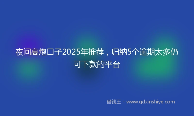 夜间高炮口子2025年推荐，归纳5个逾期太多仍可下款的平台