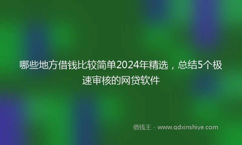 哪些地方借钱比较简单2024年精选，总结5个极速审核的网贷软件