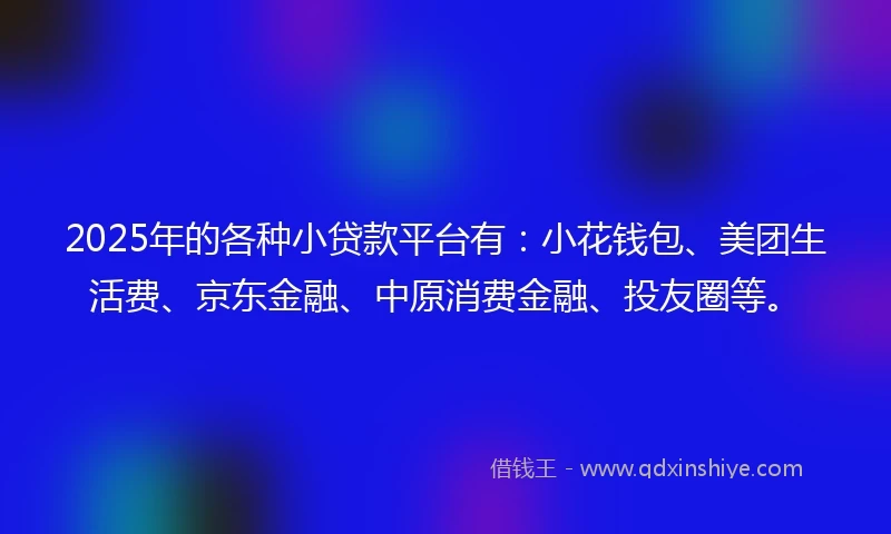 2025年的各种小贷款平台有：小花钱包、美团生活费、京东金融、中原消费金融、投友圈等。