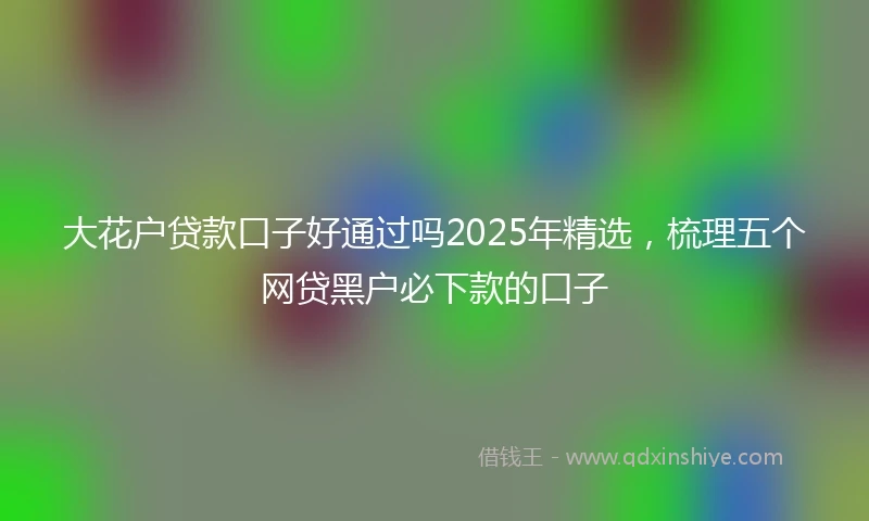 大花户贷款口子好通过吗2025年精选，梳理五个网贷黑户必下款的口子