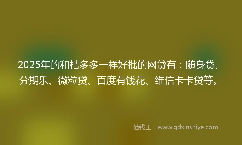 2025年的和桔多多一样好批的网贷有：随身贷、分期乐、微粒贷、百度有钱花、维信卡卡贷等。