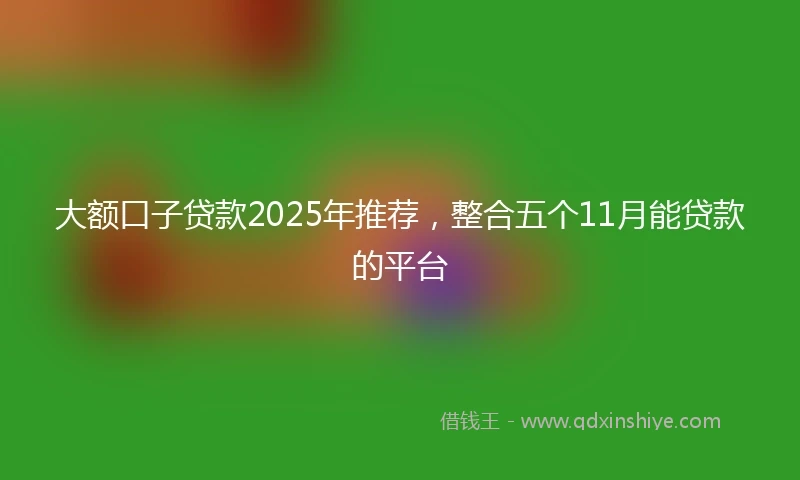 大额口子贷款2025年推荐，整合五个11月能贷款的平台