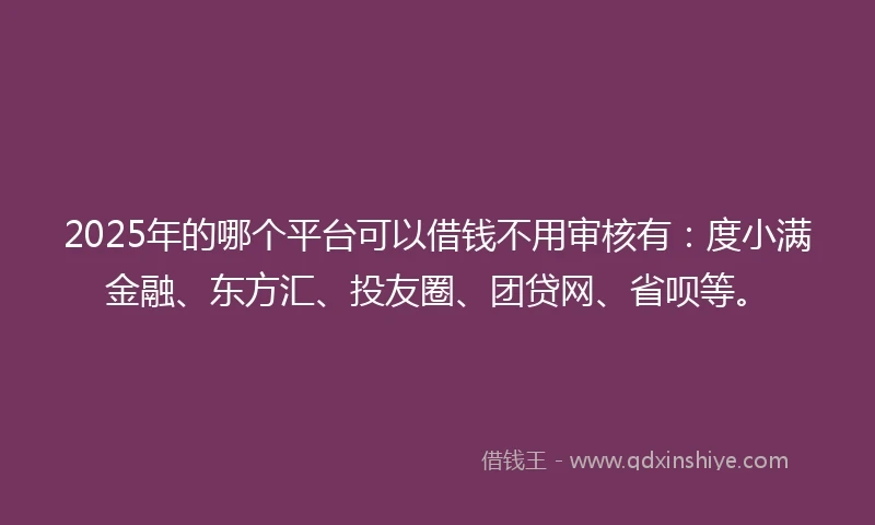 2025年的哪个平台可以借钱不用审核有:度小满金融、东方汇、投友圈、团贷网、省呗等。
