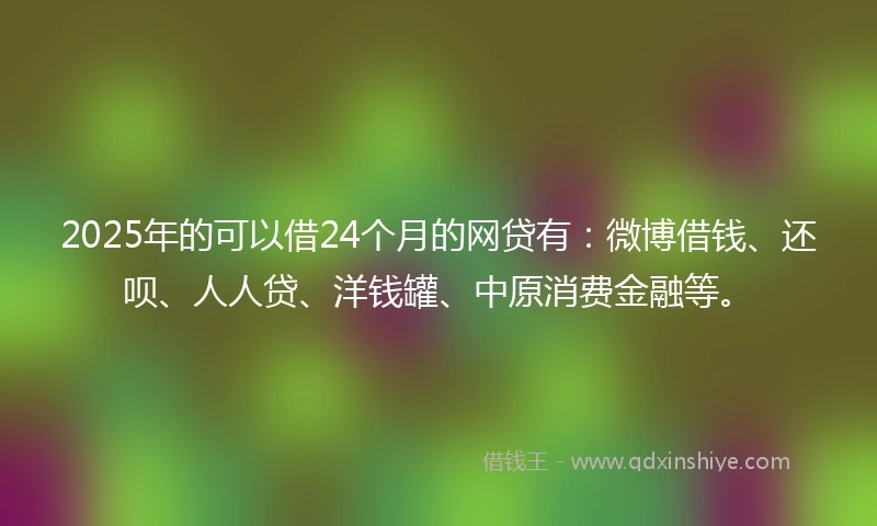 2025年的可以借24个月的网贷有：微博借钱、还呗、人人贷、洋钱罐、中原消费金融等。