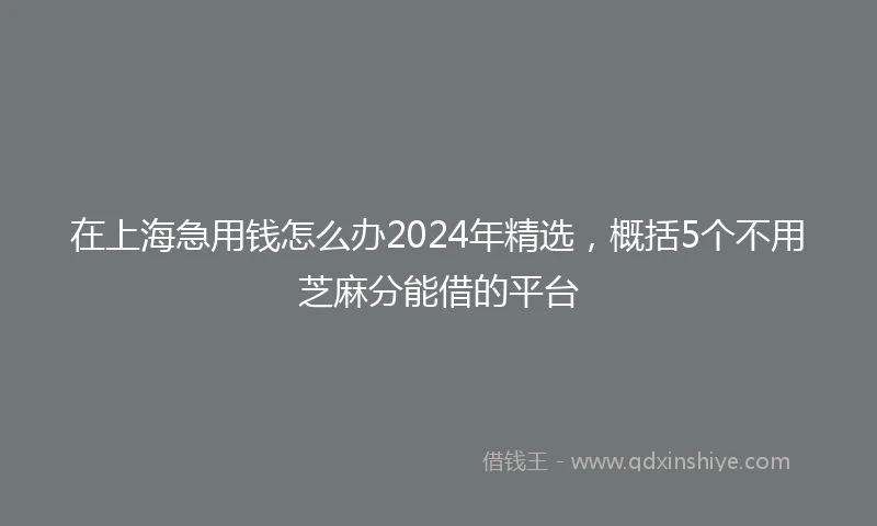 在上海急用钱怎么办2024年精选，概括5个不用芝麻分能借的平台