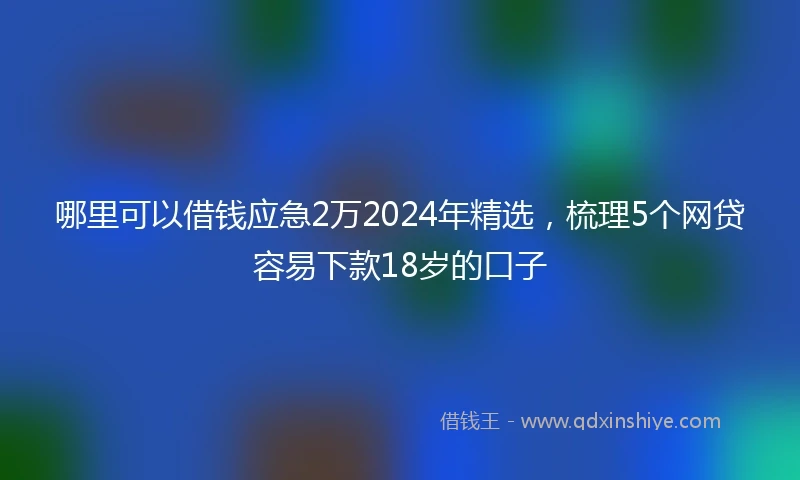 哪里可以借钱应急2万2024年精选，梳理5个网贷容易下款18岁的口子