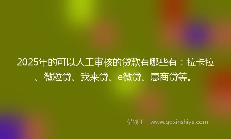 2025年的可以人工审核的贷款有哪些有：拉卡拉、微粒贷、我来贷、e微贷、惠商贷等。