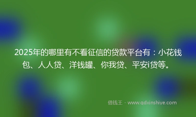 2025年的哪里有不看征信的贷款平台有：小花钱包、人人贷、洋钱罐、你我贷、平安i贷等。