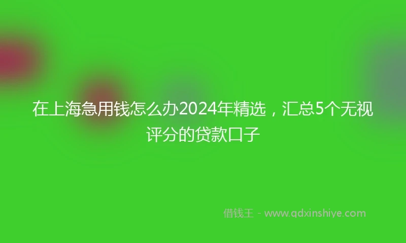 在上海急用钱怎么办2024年精选，汇总5个无视评分的贷款口子