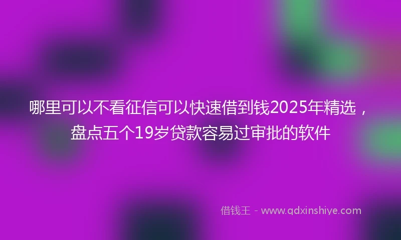 哪里可以不看征信可以快速借到钱2025年精选，盘点五个19岁贷款容易过审批的软件