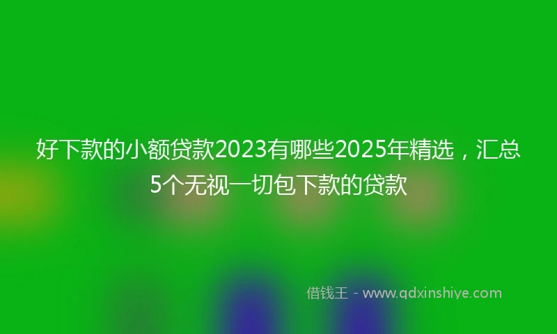 好下款的小额贷款2023有哪些2025年精选，汇总5个无视一切包下款的贷款