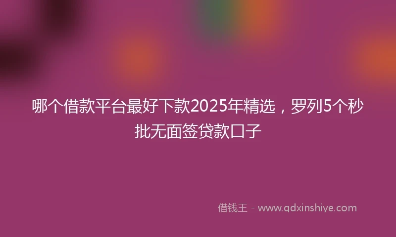 哪个借款平台最好下款2025年精选，罗列5个秒批无面签贷款口子