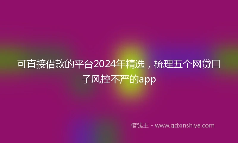 可直接借款的平台2024年精选，梳理五个网贷口子风控不严的app