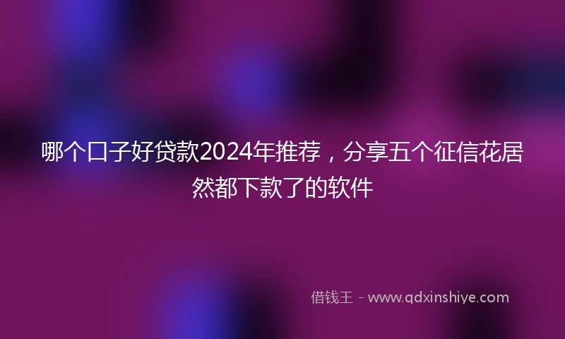 哪个口子好贷款2024年推荐，分享五个征信花居然都下款了的软件