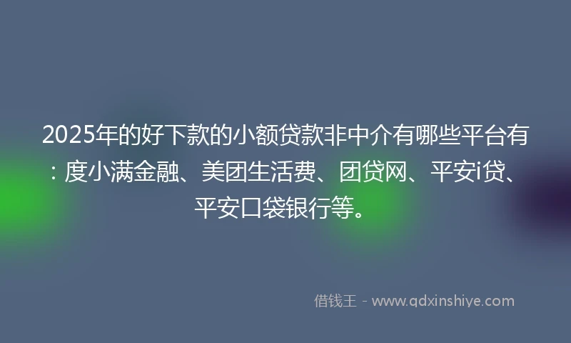 2025年的好下款的小额贷款非中介有哪些平台有：度小满金融、美团生活费、团贷网、平安i贷、平安口袋银行等。