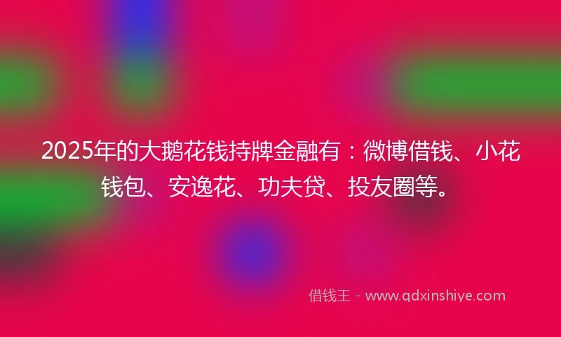 2025年的大鹅花钱持牌金融有：微博借钱、小花钱包、安逸花、功夫贷、投友圈等。