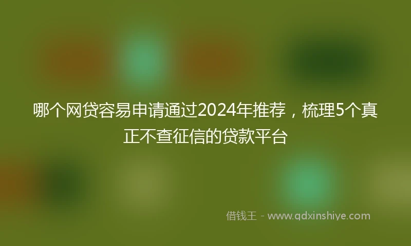 哪个网贷容易申请通过2024年推荐，梳理5个真正不查征信的贷款平台