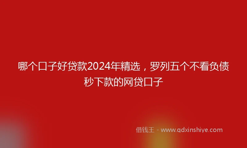 哪个口子好贷款2024年精选,罗列五个不看负债秒下款的网贷口子