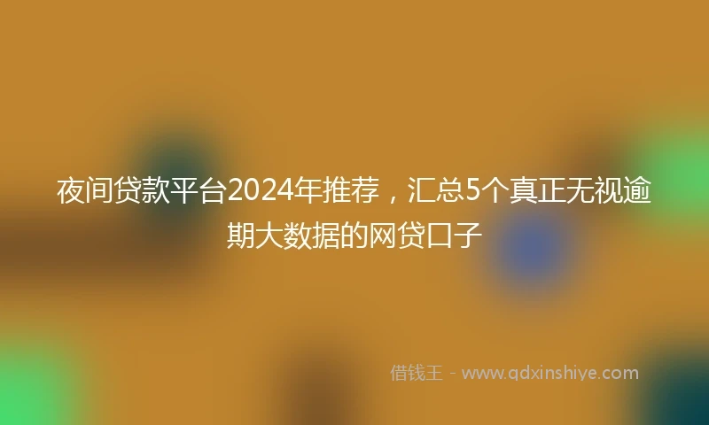 夜间贷款平台2024年推荐，汇总5个真正无视逾期大数据的网贷口子