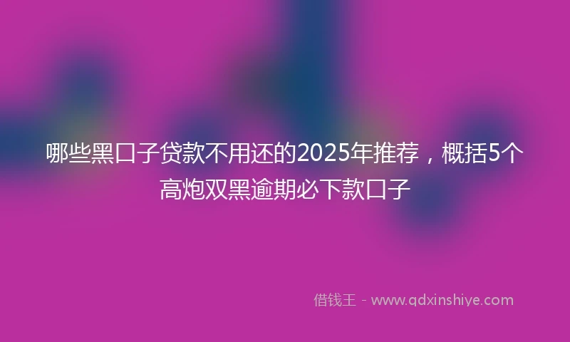 哪些黑口子贷款不用还的2025年推荐，概括5个高炮双黑逾期必下款口子