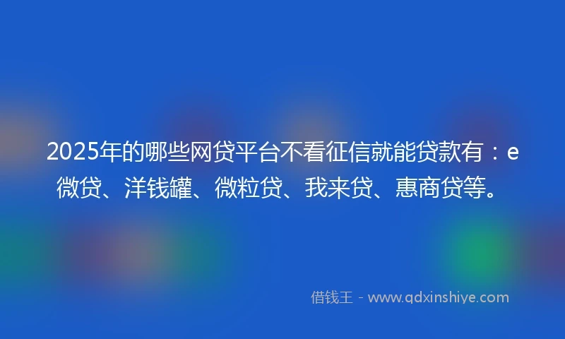 2025年的哪些网贷平台不看征信就能贷款有：e微贷、洋钱罐、微粒贷、我来贷、惠商贷等。