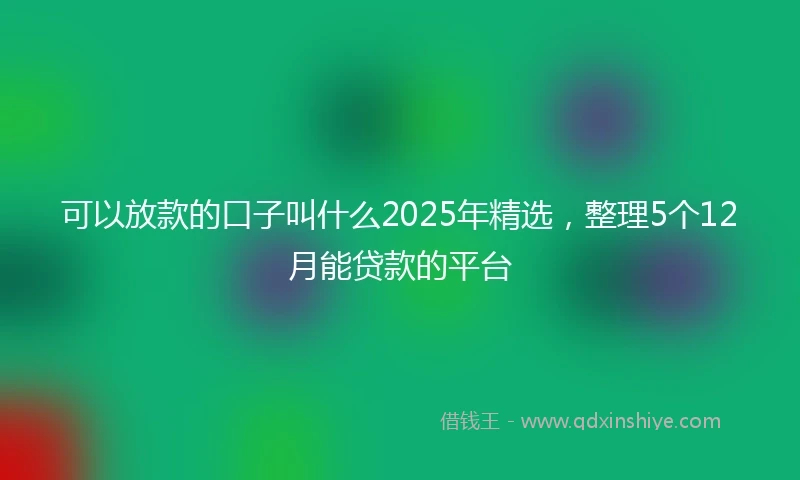 可以放款的口子叫什么2025年精选，整理5个12月能贷款的平台