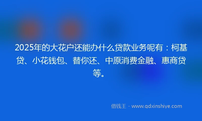 2025年的大花户还能办什么贷款业务呢有：柯基贷、小花钱包、替你还、中原消费金融、惠商贷等。