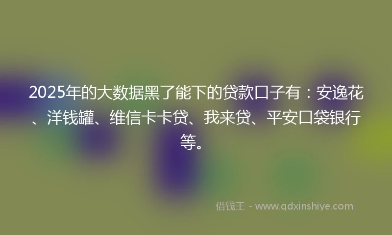 2025年的大数据黑了能下的贷款口子有：安逸花、洋钱罐、维信卡卡贷、我来贷、平安口袋银行等。