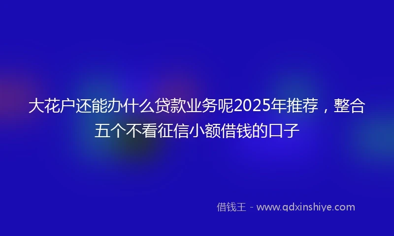 大花户还能办什么贷款业务呢2025年推荐，整合五个不看征信小额借钱的口子