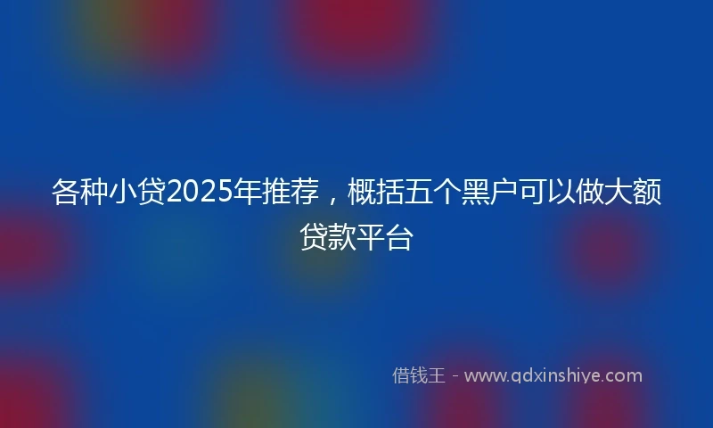 各种小贷2025年推荐，概括五个黑户可以做大额贷款平台
