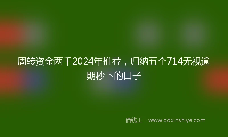 周转资金两千2024年推荐，归纳五个714无视逾期秒下的口子