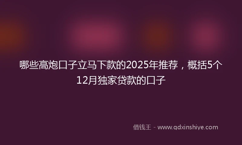 哪些高炮口子立马下款的2025年推荐，概括5个12月独家贷款的口子