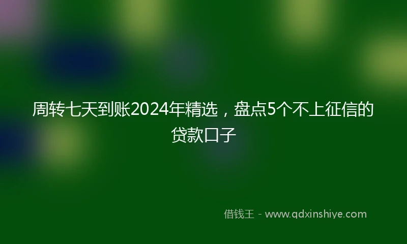 周转七天到账2024年精选，盘点5个不上征信的贷款口子