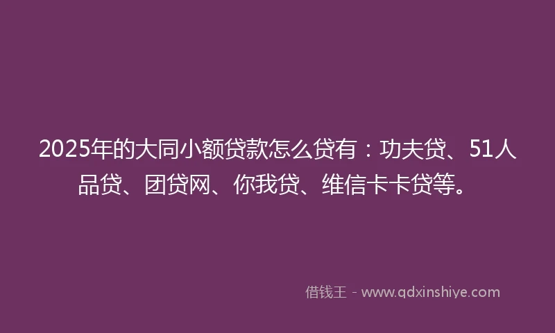 2025年的大同小额贷款怎么贷有：功夫贷、51人品贷、团贷网、你我贷、维信卡卡贷等。
