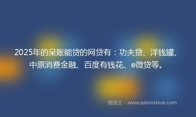 2025年的呆账能贷的网贷有：功夫贷、洋钱罐、中原消费金融、百度有钱花、e微贷等。