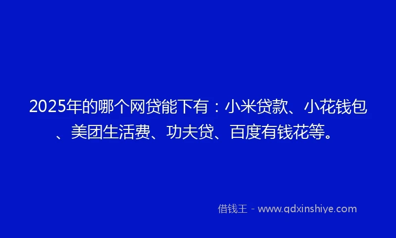 2025年的哪个网贷能下有：小米贷款、小花钱包、美团生活费、功夫贷、百度有钱花等。
