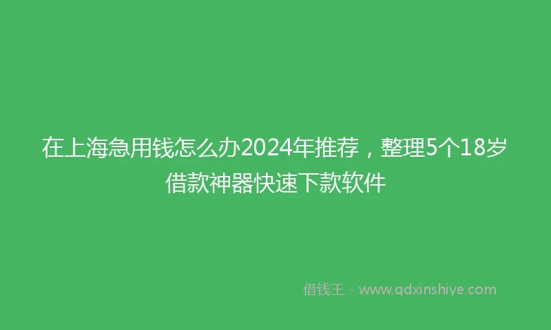在上海急用钱怎么办2024年推荐，整理5个18岁借款神器快速下款软件