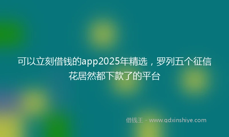 可以立刻借钱的app2025年精选，罗列五个征信花居然都下款了的平台