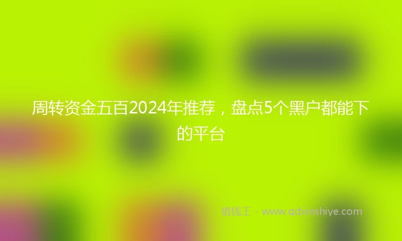 周转资金五百2024年推荐，盘点5个黑户都能下的平台