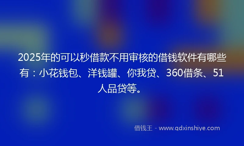2025年的可以秒借款不用审核的借钱软件有哪些有：小花钱包、洋钱罐、你我贷、360借条、51人品贷等。