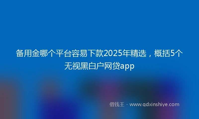 备用金哪个平台容易下款2025年精选，概括5个无视黑白户网贷app