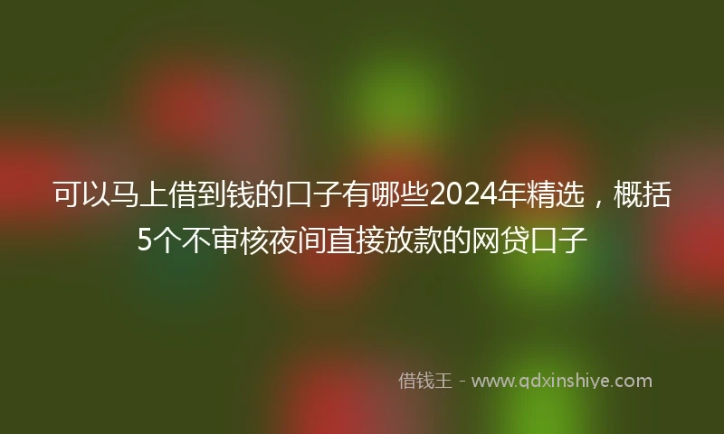 可以马上借到钱的口子有哪些2024年精选，概括5个不审核夜间直接放款的网贷口子