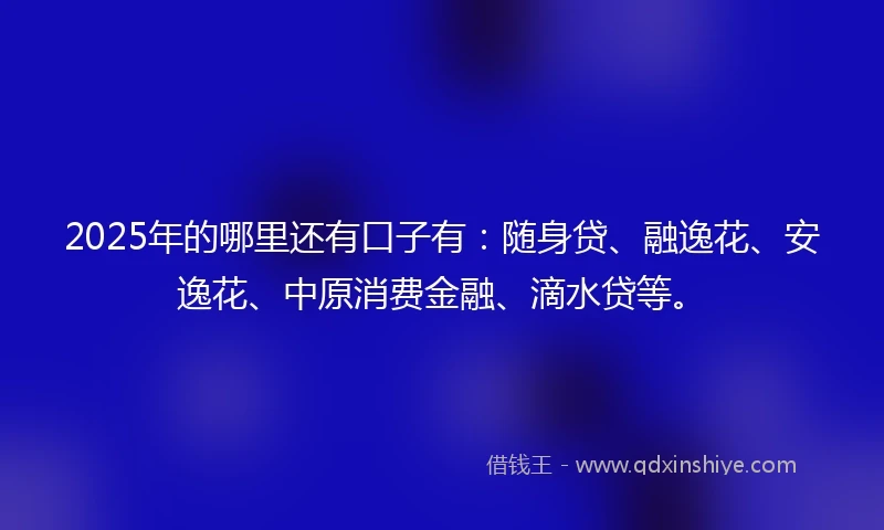 2025年的哪里还有口子有：随身贷、融逸花、安逸花、中原消费金融、滴水贷等。