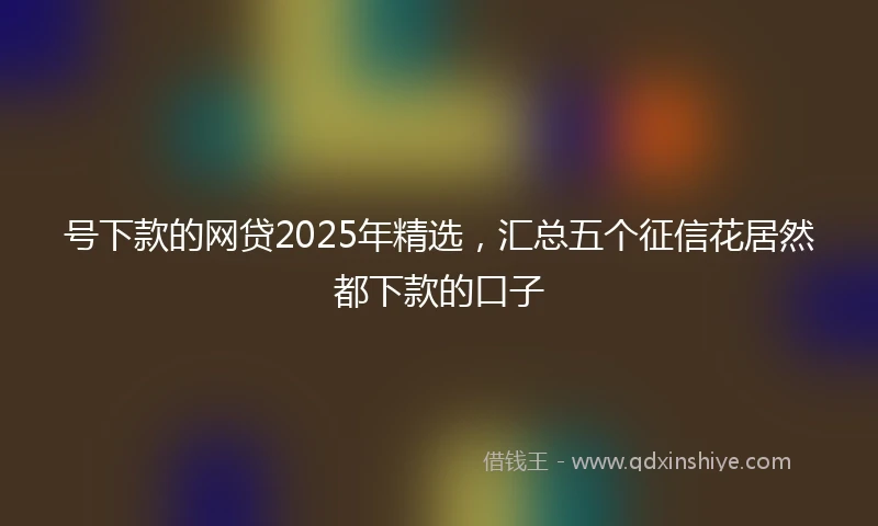 号下款的网贷2025年精选，汇总五个征信花居然都下款的口子