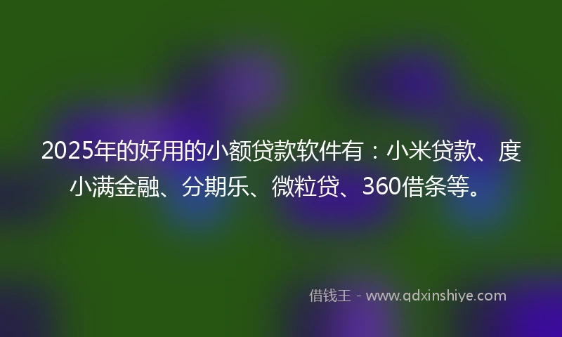 2025年的好用的小额贷款软件有：小米贷款、度小满金融、分期乐、微粒贷、360借条等。
